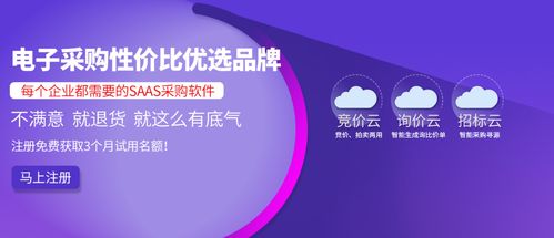 2025年12月北京采購管理系統服務推薦排行榜 信息技術咨詢服務全解析